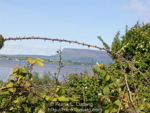 Benbulben